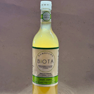 Kombucha de  Jengibre y Manzana x ud  ( botella de vidrio x 770 ml )