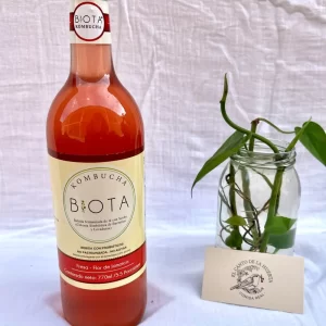 Kombucha de Fresa y Flor de Jamaica x ud  ( botella de vidrio 770 ml )