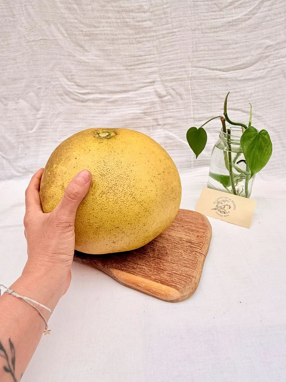 Toronha Toronja grande ud (Aprox. 1300 a 2000g) - El Canto de la Huerta