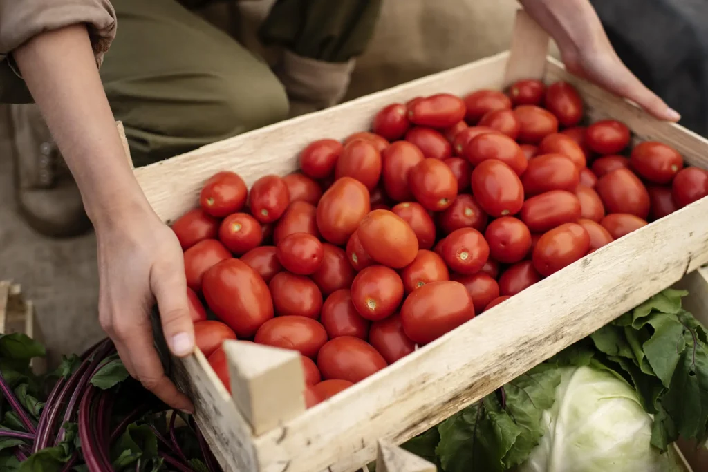 Tomates Orgánicos y Naturales