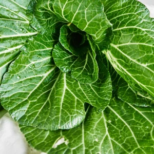 Acelga China - bok choy x ud   (Aprox  200 g)