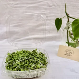 Mix de brotes x ud ( 30 g )