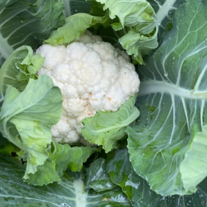 Coliflor x ud (Aprox 330g)