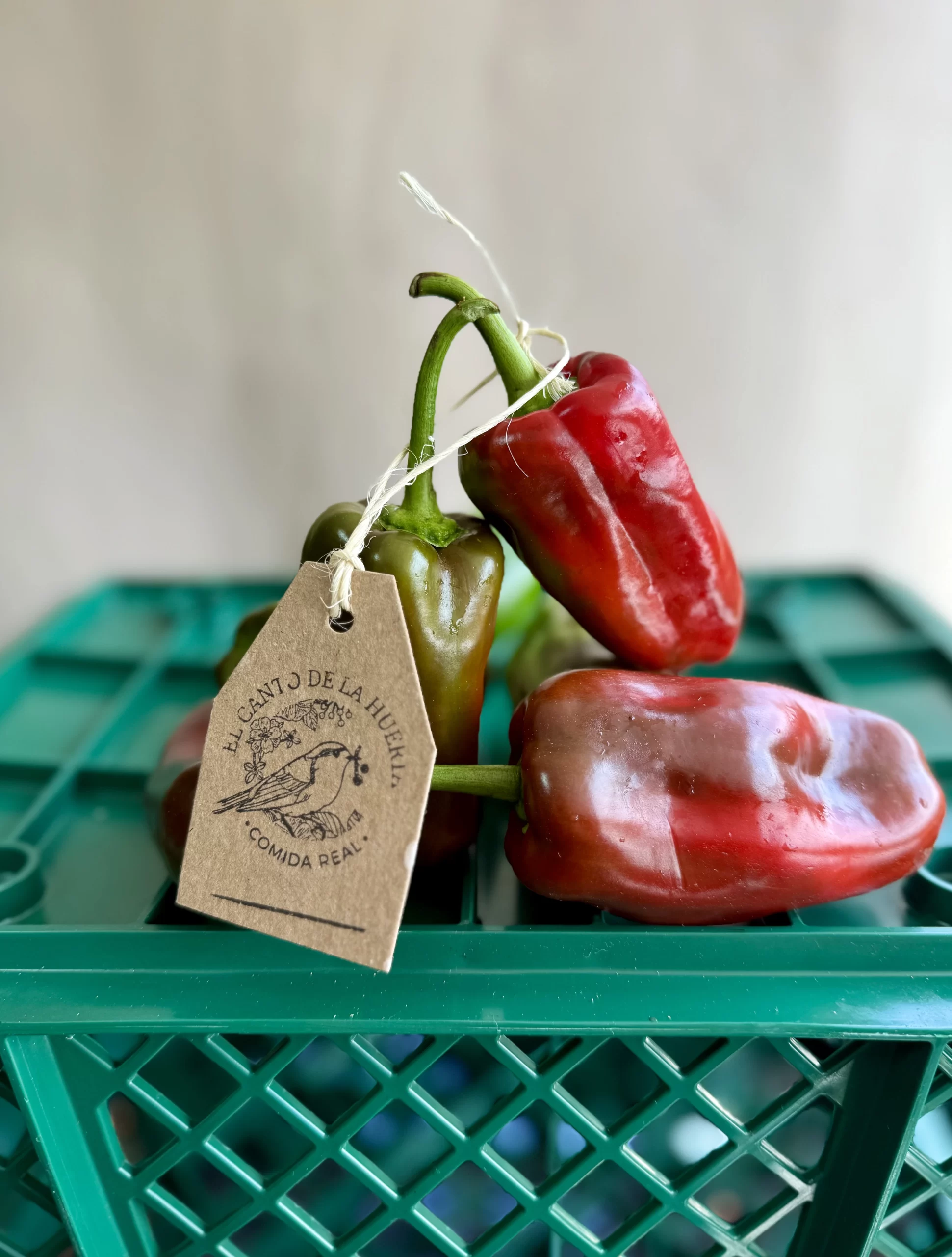 Pimenton-organico-rojo