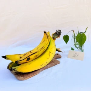 Plátano maduro x 1100 g (Aprox 3 a 4 ud )