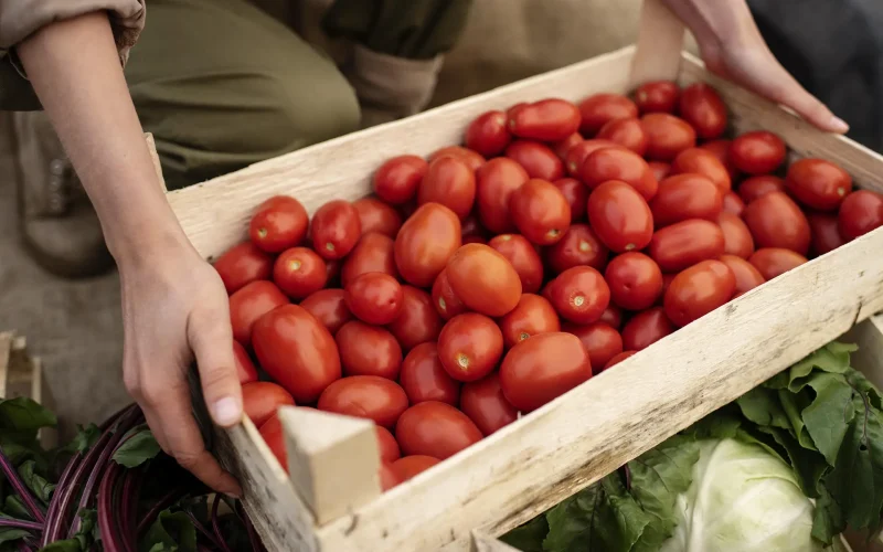 Tomates Orgánicos y Naturales